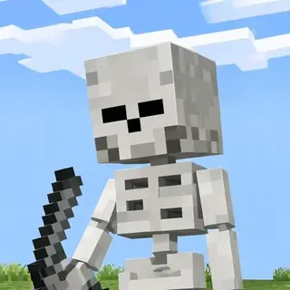 Skeleton