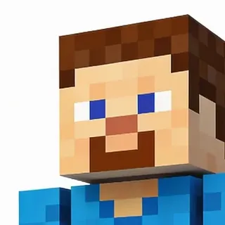 Steve