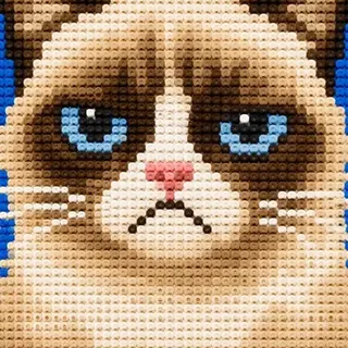 Grumpy Cat